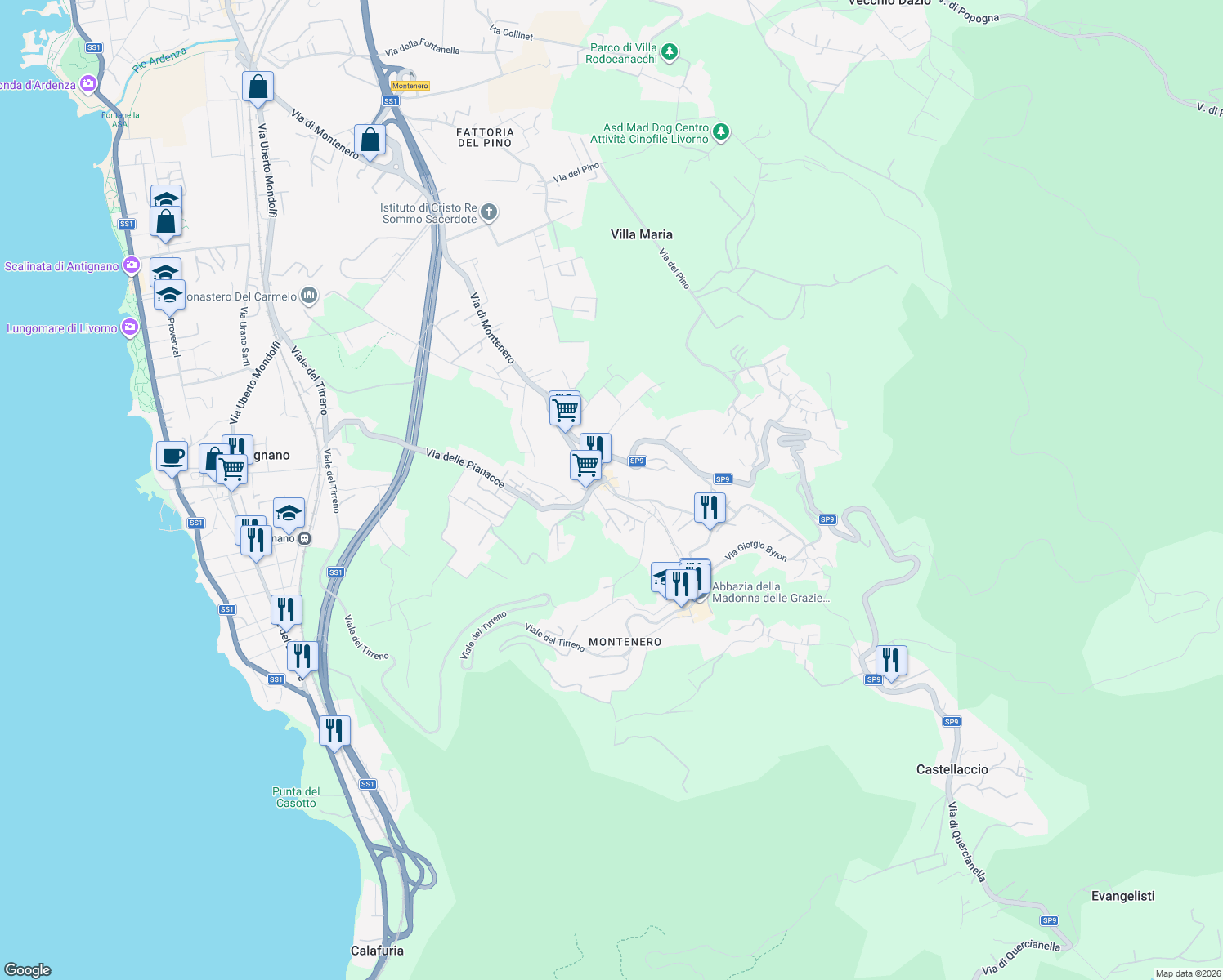 map of restaurants, bars, coffee shops, grocery stores, and more near 19 Via di Montenero in Livorno