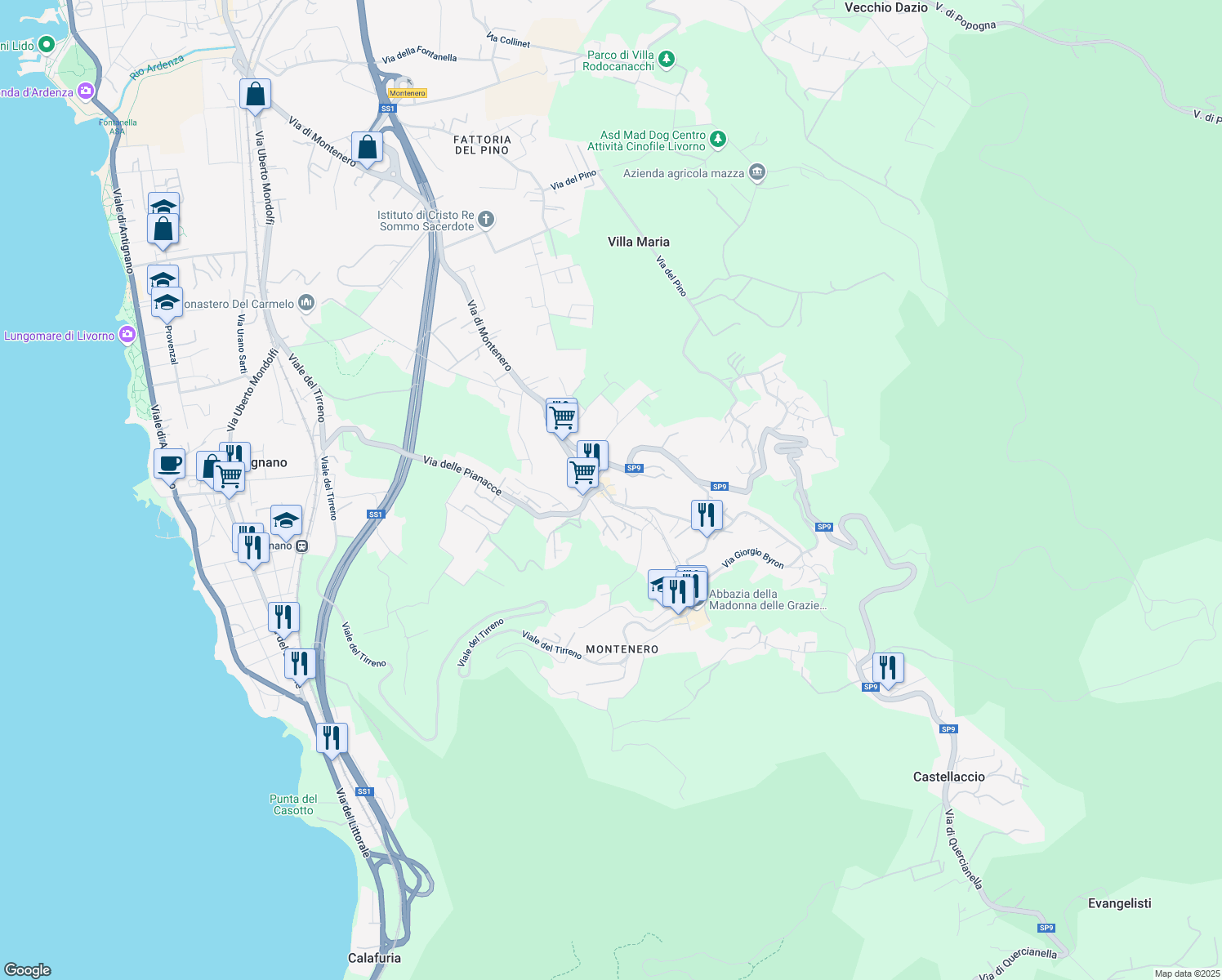 map of restaurants, bars, coffee shops, grocery stores, and more near 19 Via di Montenero in Livorno