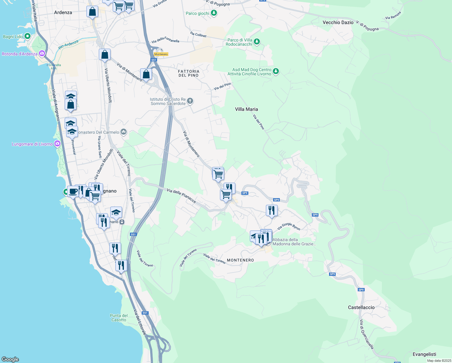 map of restaurants, bars, coffee shops, grocery stores, and more near Via del Castellaccio in Livorno