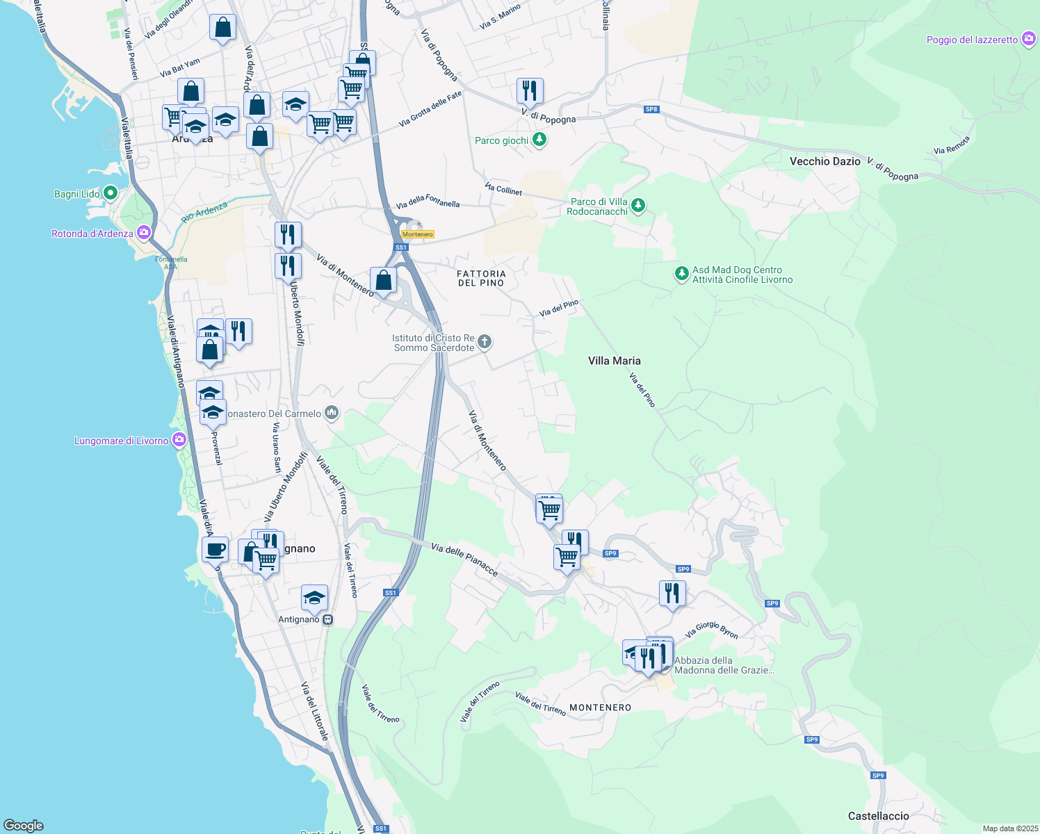 map of restaurants, bars, coffee shops, grocery stores, and more near 102 Via della Prugnoliccia in Livorno