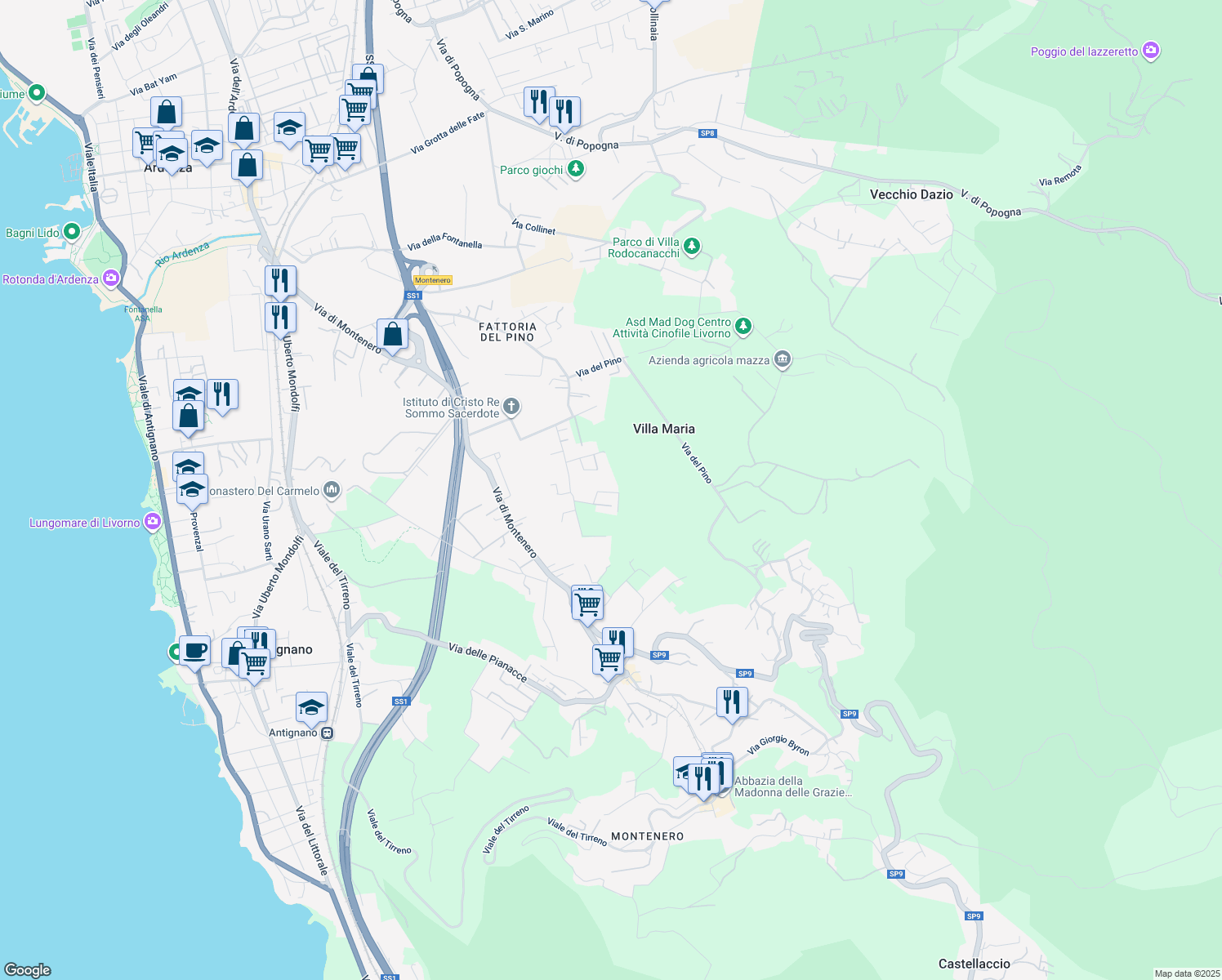 map of restaurants, bars, coffee shops, grocery stores, and more near 121 Via della Prugnoliccia in Livorno
