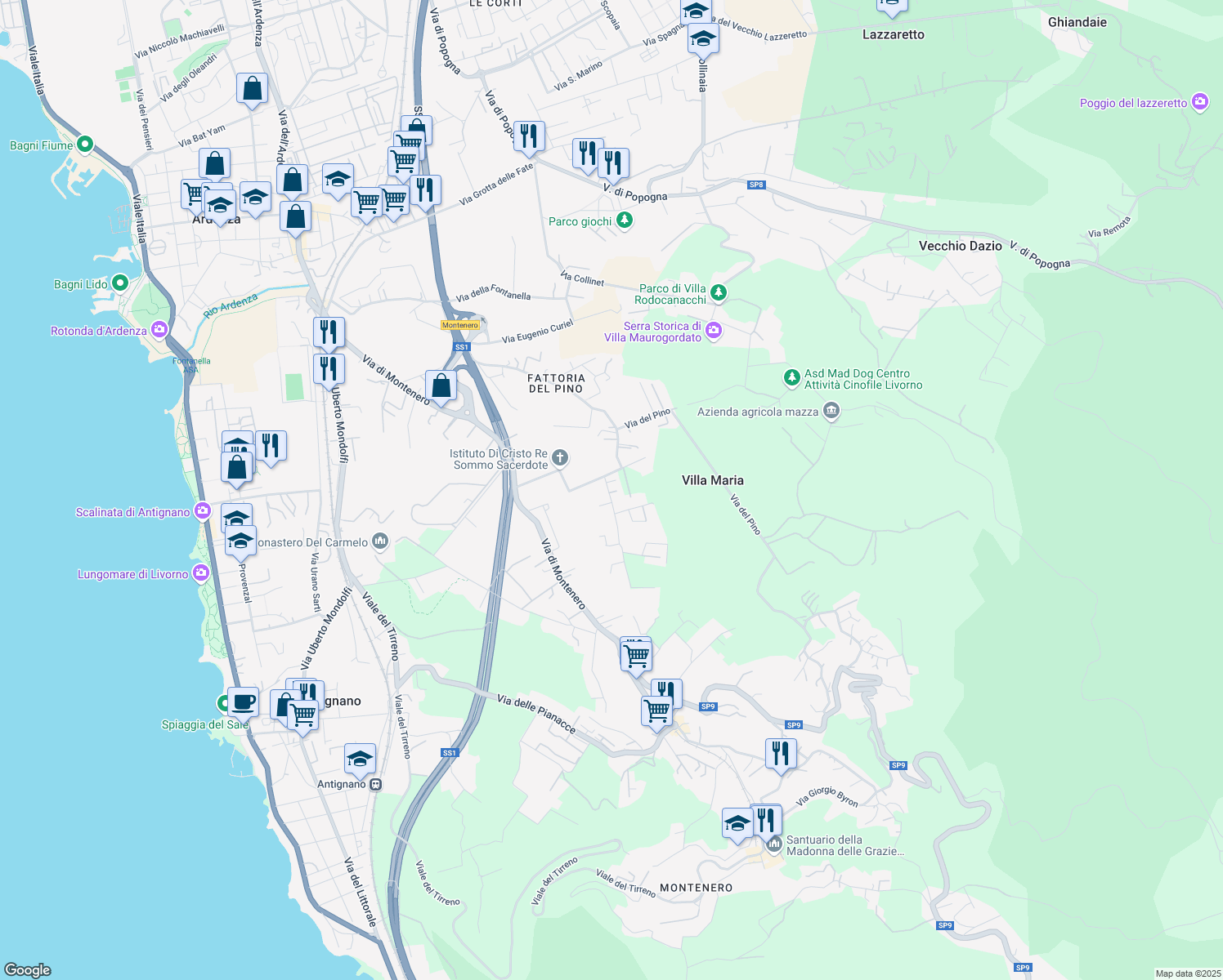 map of restaurants, bars, coffee shops, grocery stores, and more near 19 Via della Prugnoliccia in Livorno