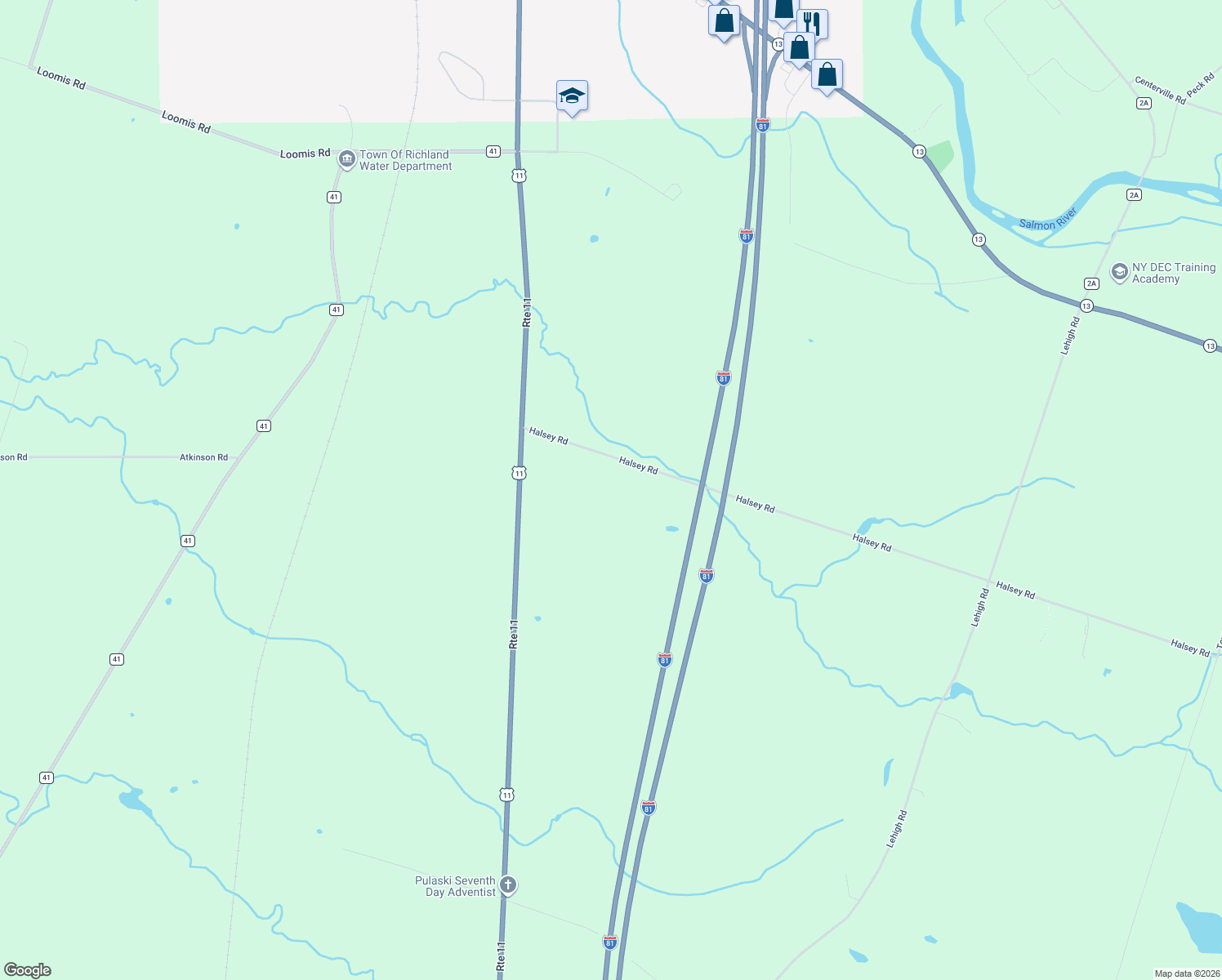 map of restaurants, bars, coffee shops, grocery stores, and more near 351 Halsey Rd in Pulaski