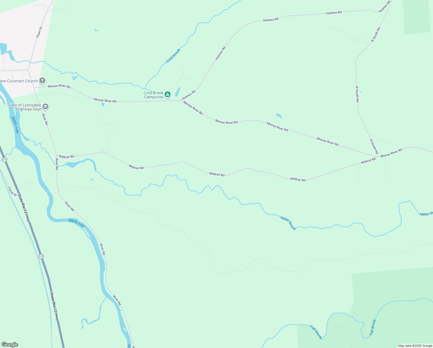 map of restaurants, bars, coffee shops, grocery stores, and more near Wildcat Rd in Port Leyden