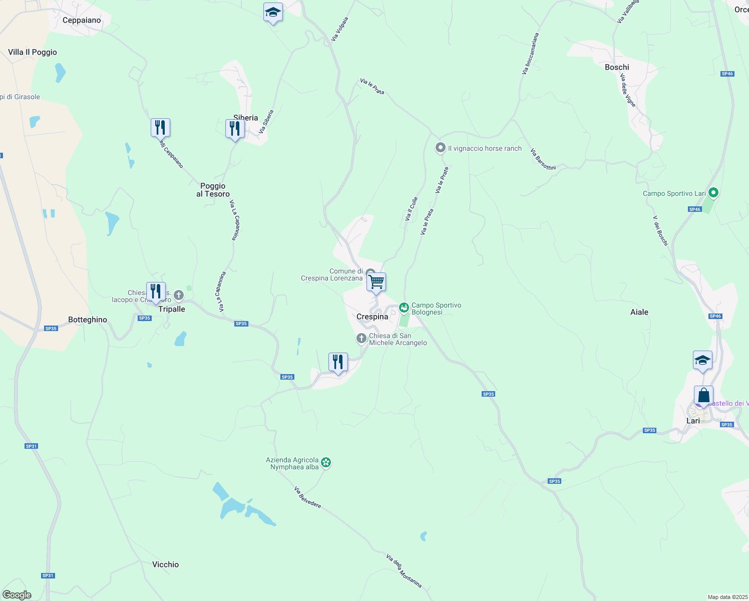 map of restaurants, bars, coffee shops, grocery stores, and more near 16 Via XXI Aprile in Crespina