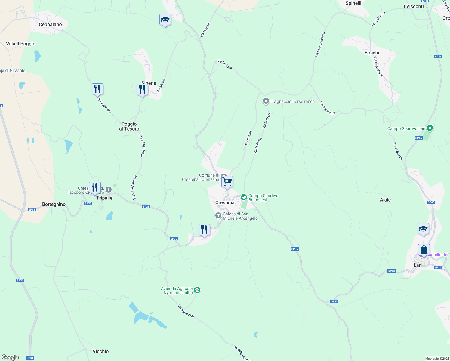 map of restaurants, bars, coffee shops, grocery stores, and more near 16 Via XXI Aprile in Crespina
