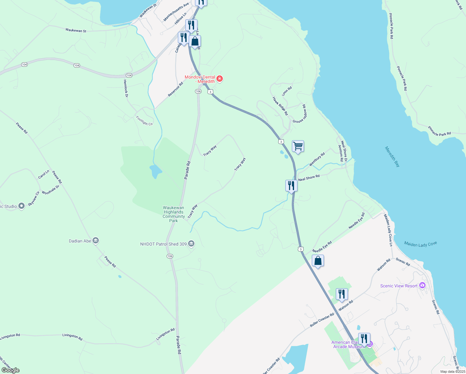 map of restaurants, bars, coffee shops, grocery stores, and more near 78 Tracy Way in Meredith