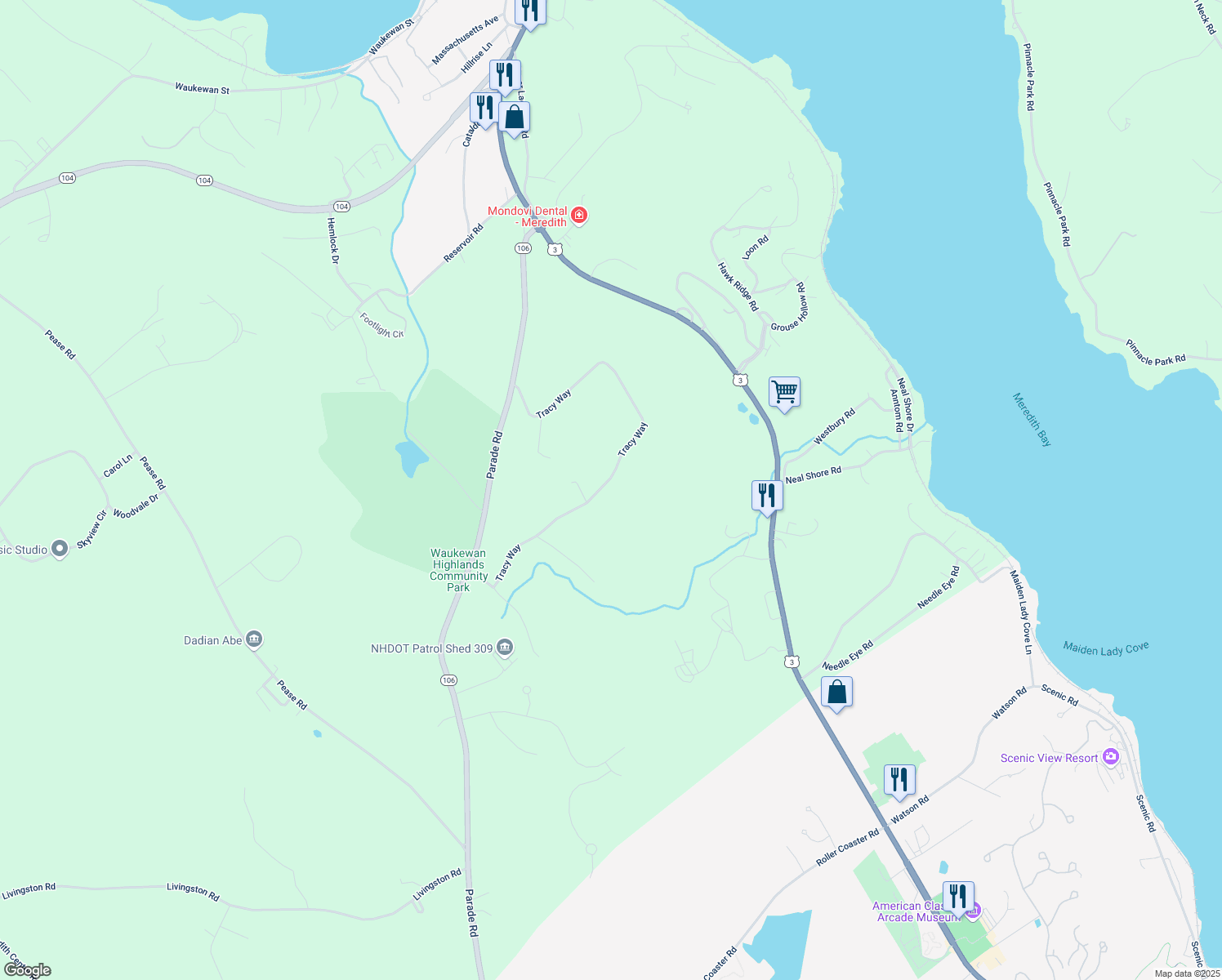 map of restaurants, bars, coffee shops, grocery stores, and more near 78 Tracy Way in Meredith