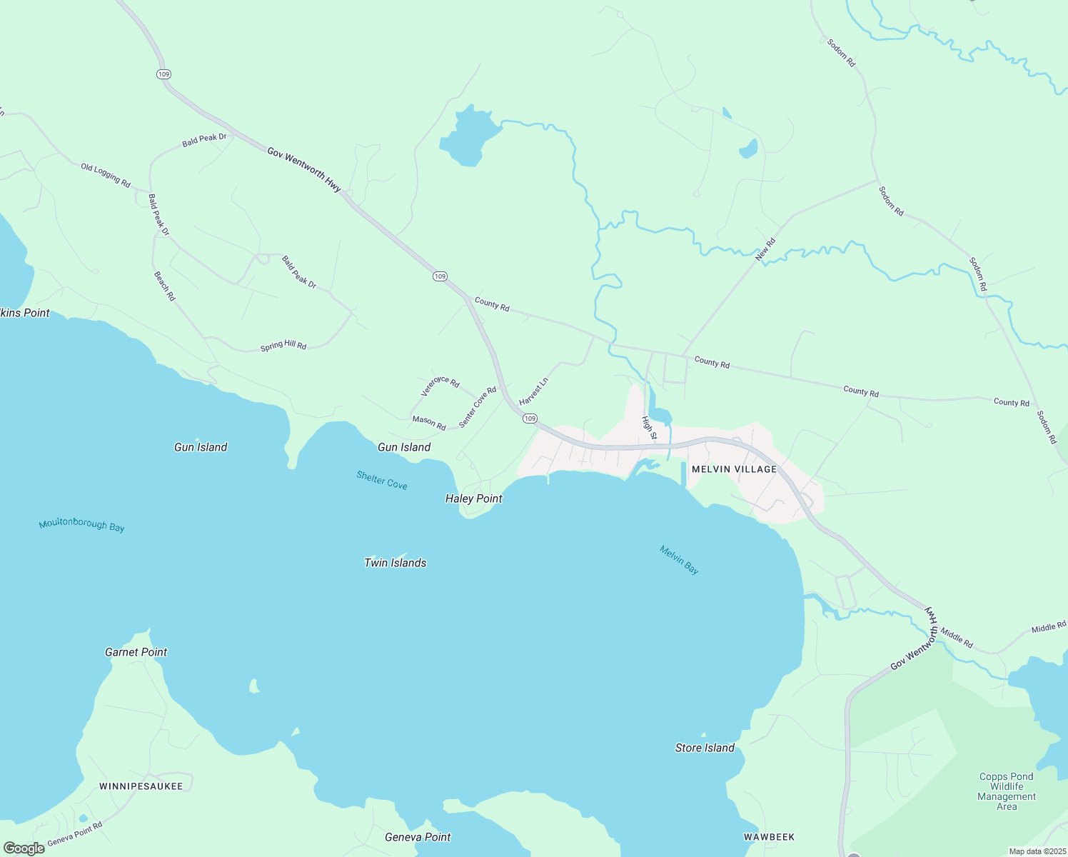 4 Lanes End Road, Tuftonboro NH Walk Score