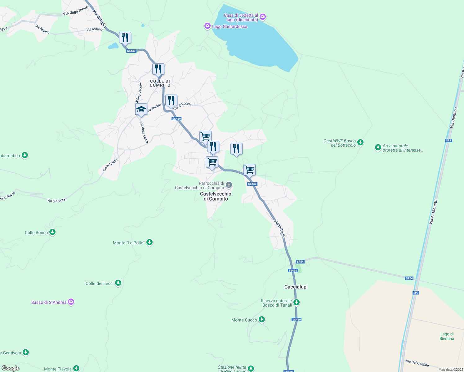 map of restaurants, bars, coffee shops, grocery stores, and more near 31 Via di Castelvecchio in Capannori