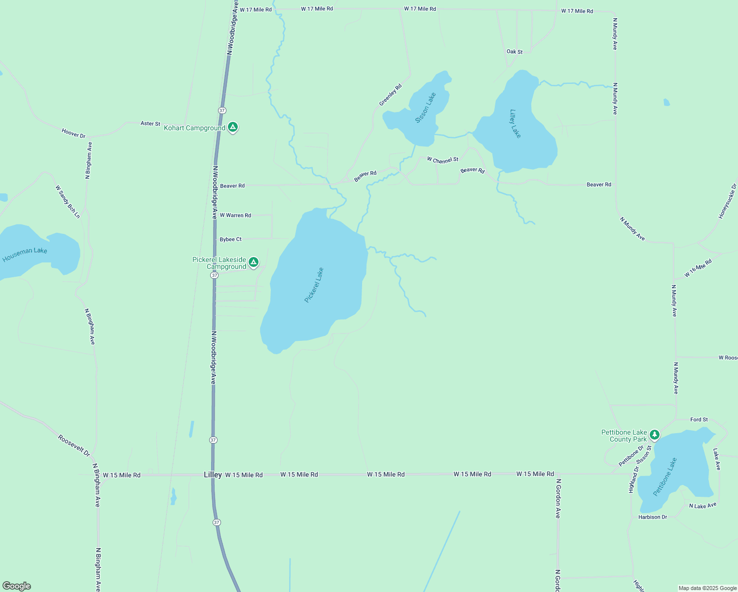 1383 Old Ferris Lane, Bitely MI Walk Score