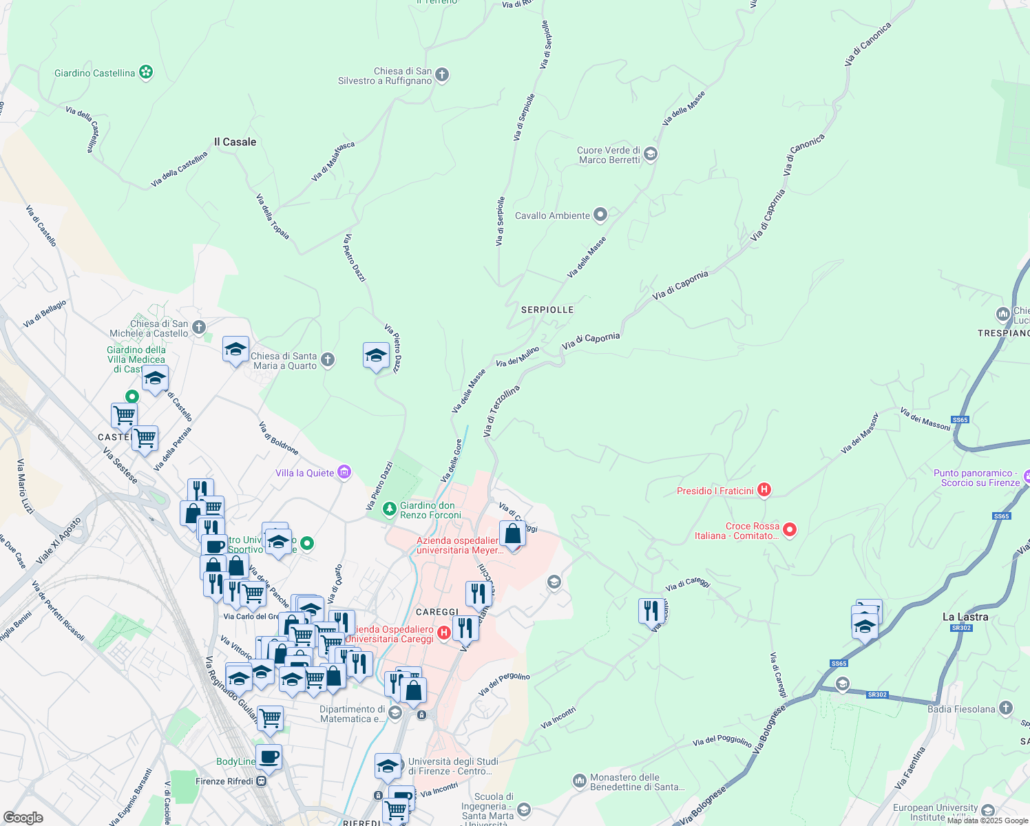 map of restaurants, bars, coffee shops, grocery stores, and more near 4 Via di Terzollina in Firenze