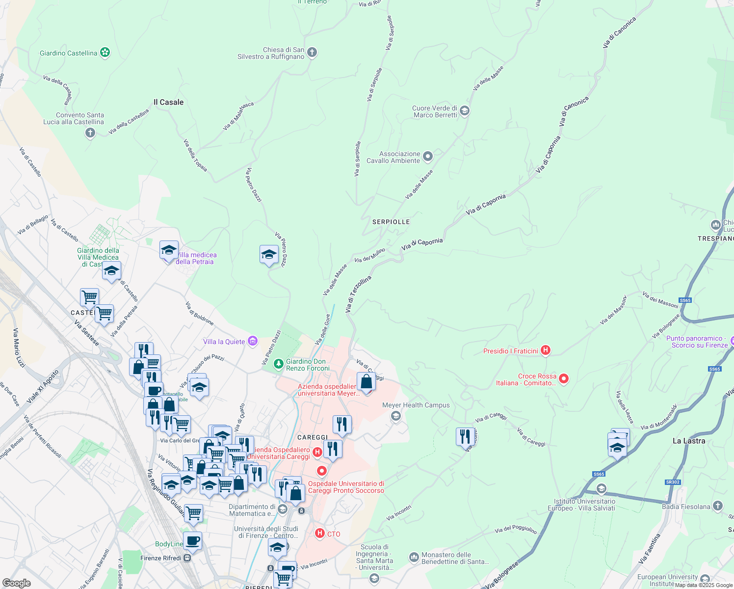 map of restaurants, bars, coffee shops, grocery stores, and more near 4 Via di Terzollina in Firenze