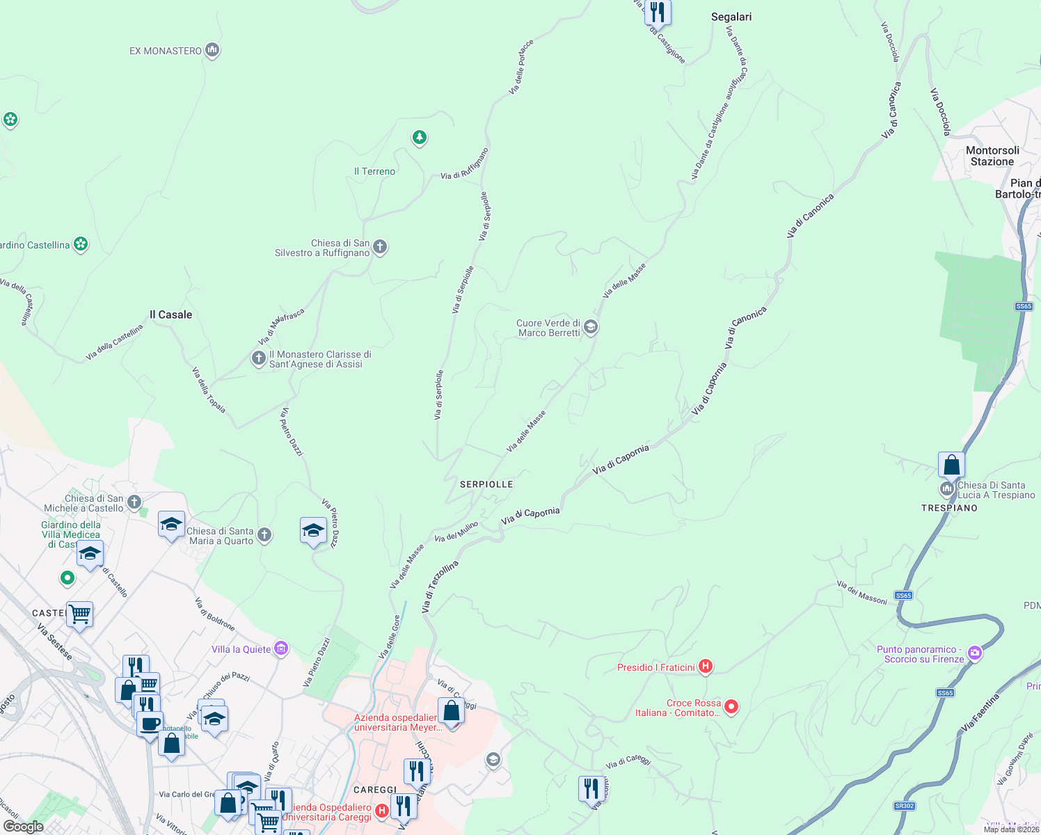map of restaurants, bars, coffee shops, grocery stores, and more near 89 Via delle Masse in Firenze