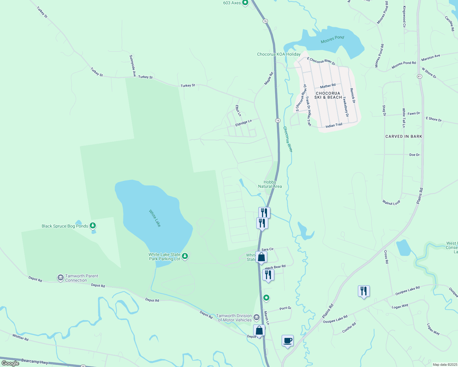 map of restaurants, bars, coffee shops, grocery stores, and more near 228 Chipmunk Lane in Tamworth