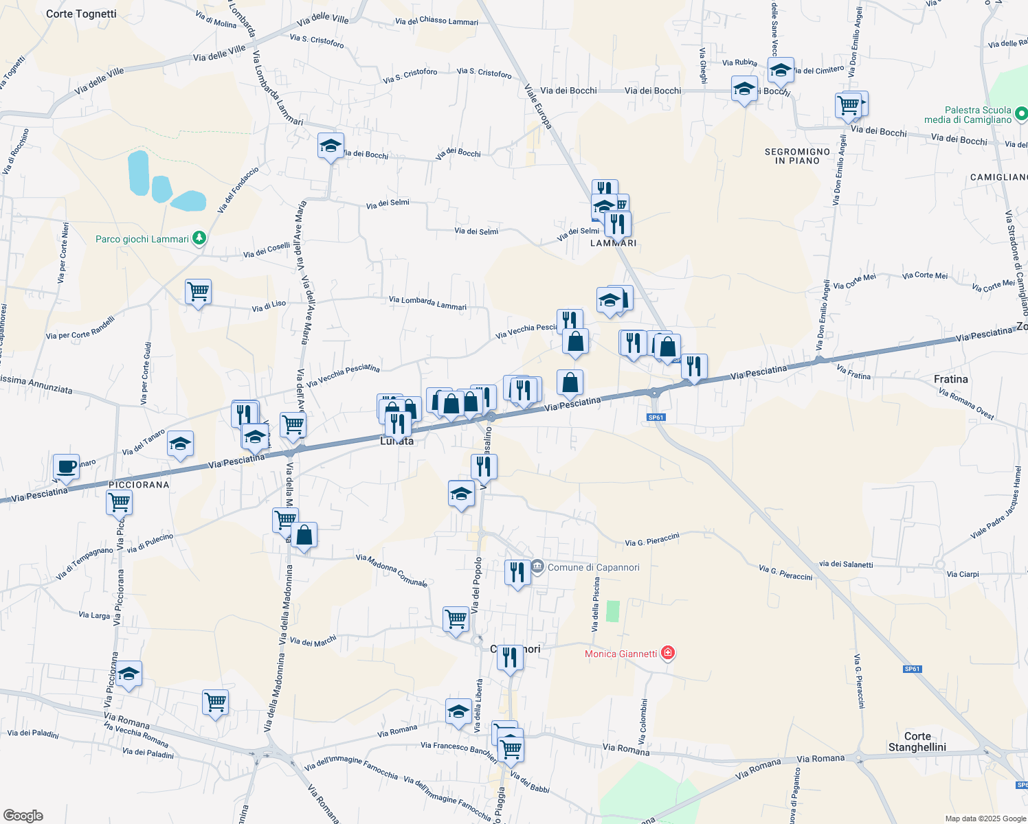 map of restaurants, bars, coffee shops, grocery stores, and more near 157 Via Pesciatina in Capannori