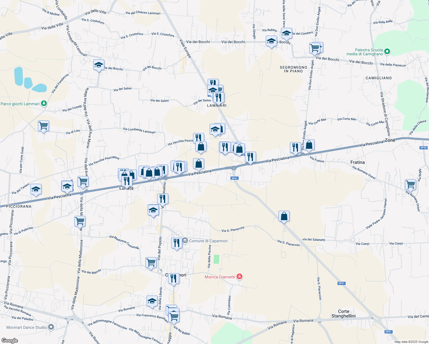 map of restaurants, bars, coffee shops, grocery stores, and more near 308 Via Pesciatina in Capannori