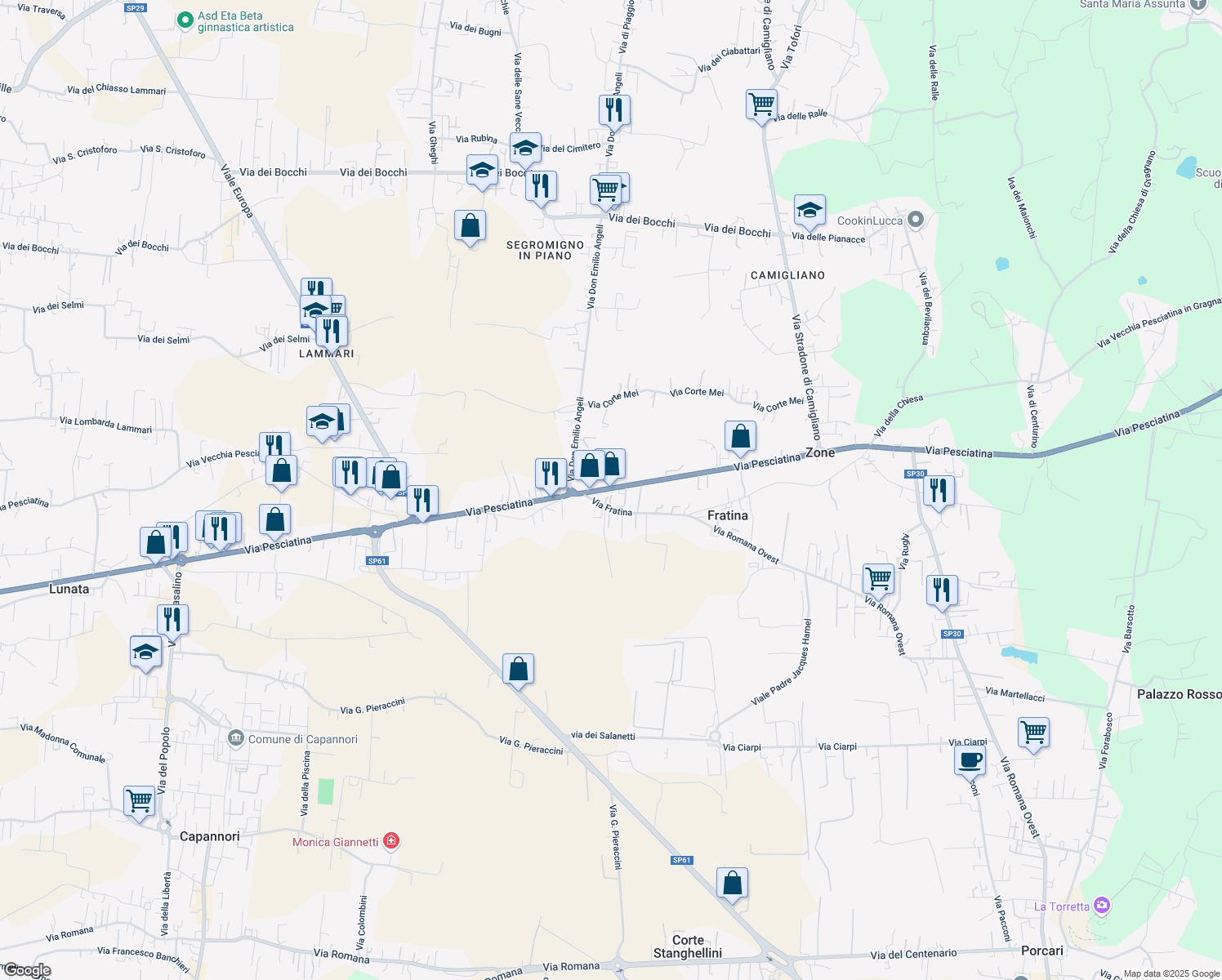 map of restaurants, bars, coffee shops, grocery stores, and more near 9 Via Fratina in Capannori