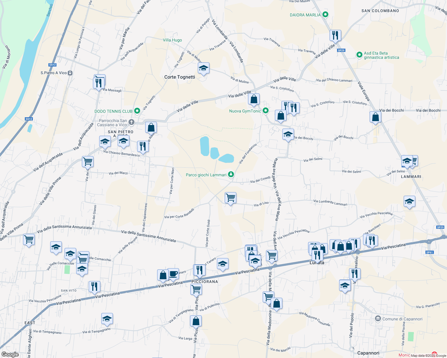 map of restaurants, bars, coffee shops, grocery stores, and more near 24 Via dei Coselli in Capannori