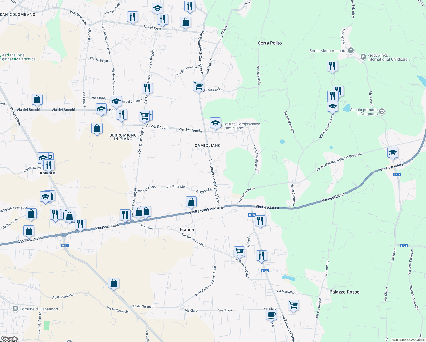 map of restaurants, bars, coffee shops, grocery stores, and more near 86 Via Stradone di Camigliano in Capannori