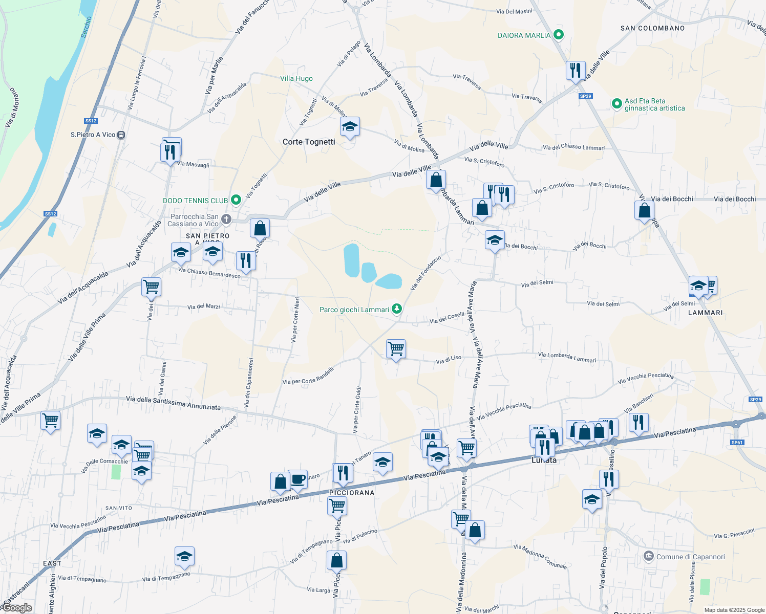 map of restaurants, bars, coffee shops, grocery stores, and more near 24 Via dei Coselli in Capannori