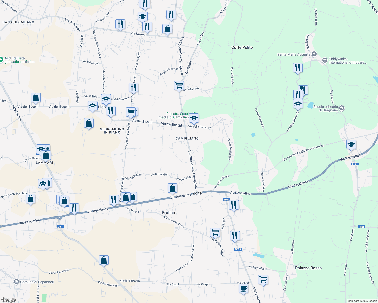 map of restaurants, bars, coffee shops, grocery stores, and more near 47 Via Stradone di Camigliano in Capannori