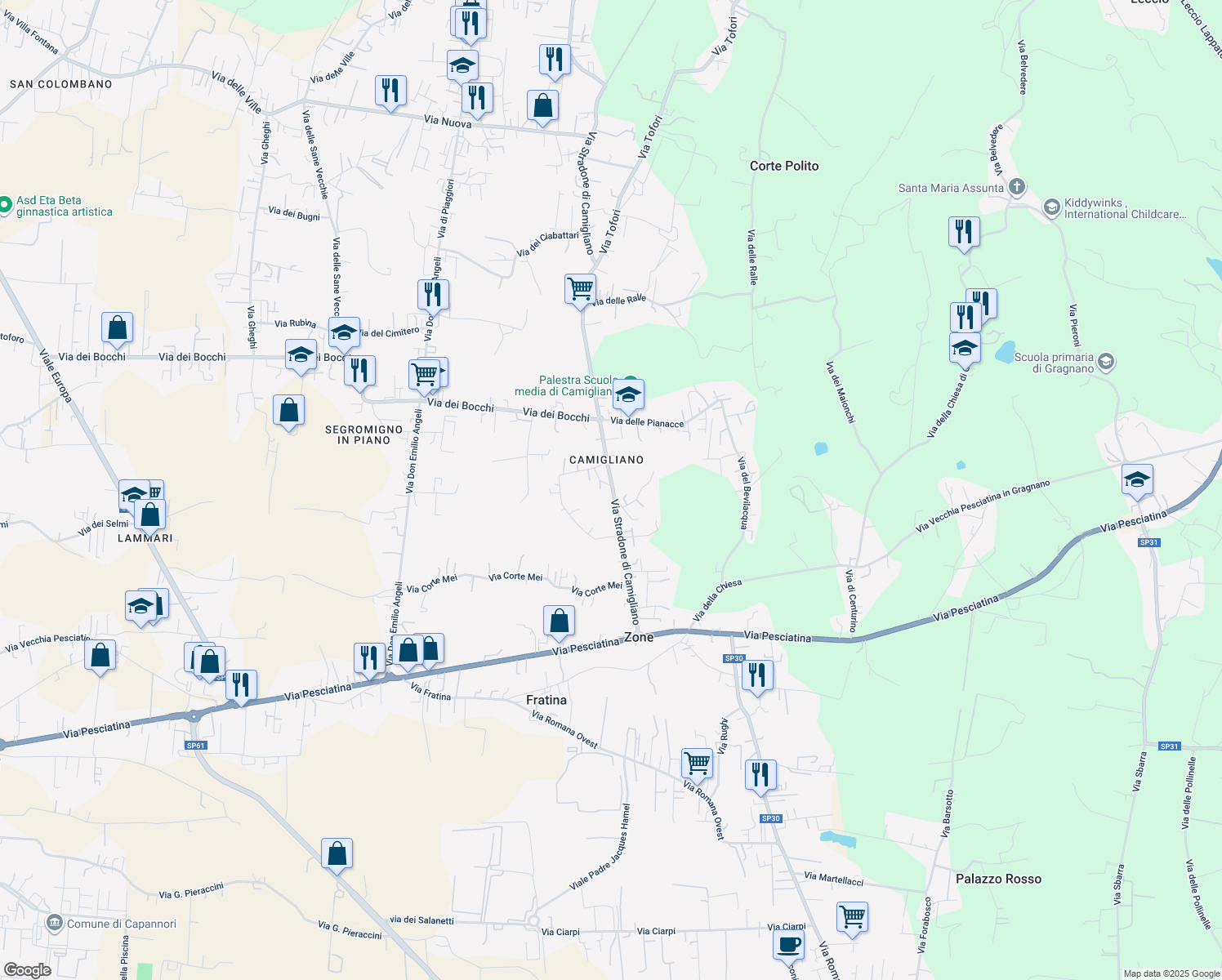 map of restaurants, bars, coffee shops, grocery stores, and more near 47 Via Stradone di Camigliano in Capannori
