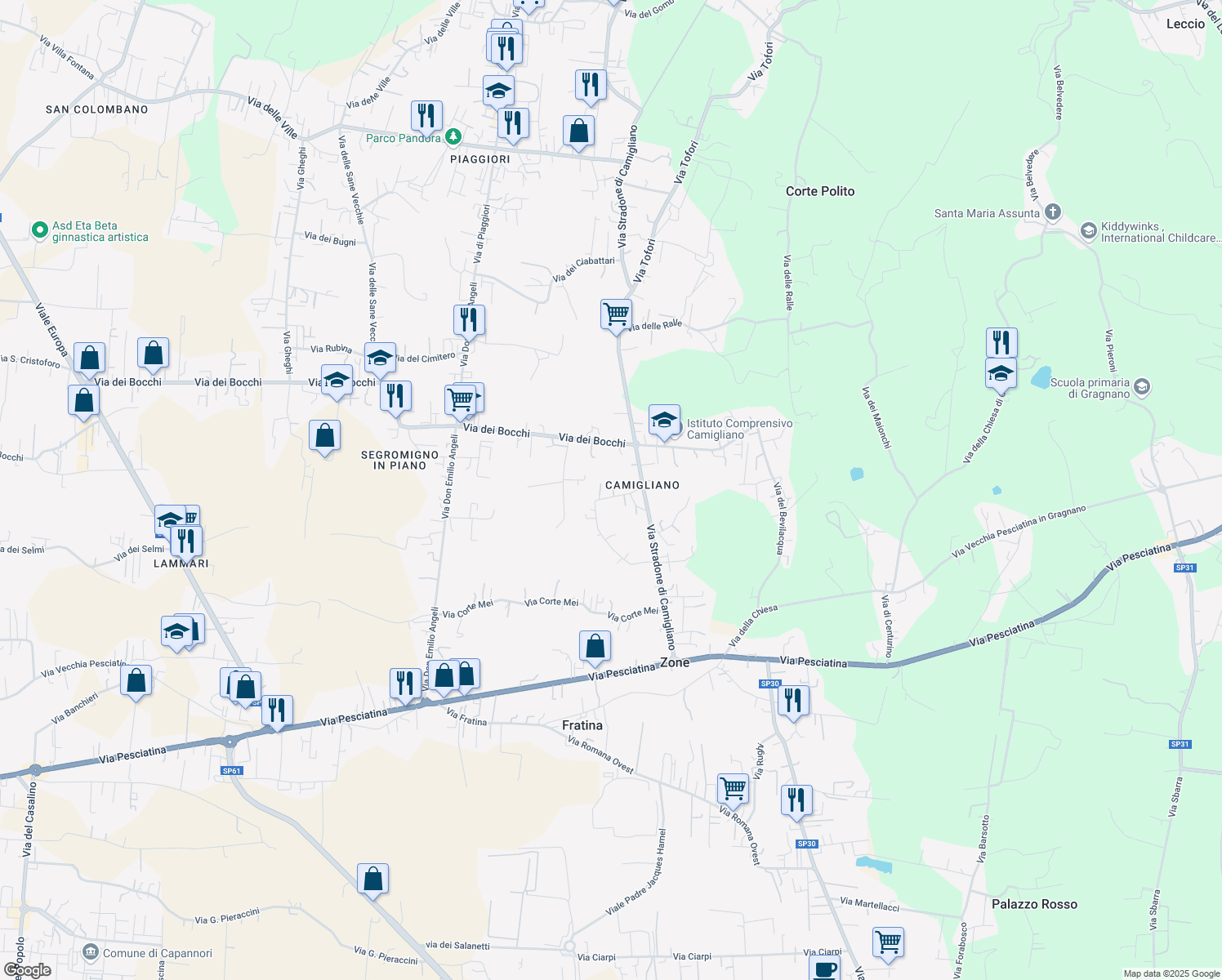 map of restaurants, bars, coffee shops, grocery stores, and more near 125 Via Stradone di Camigliano in Capannori