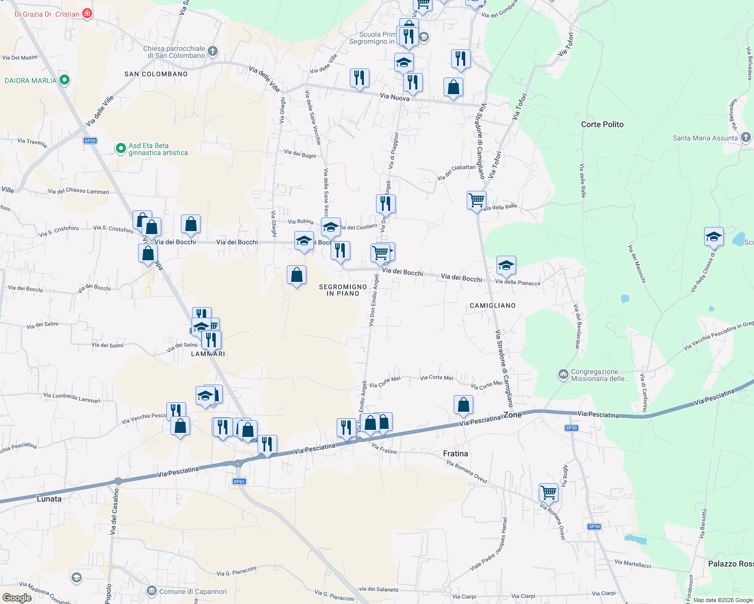 map of restaurants, bars, coffee shops, grocery stores, and more near 62 Via Don Emilio Angeli in Capannori