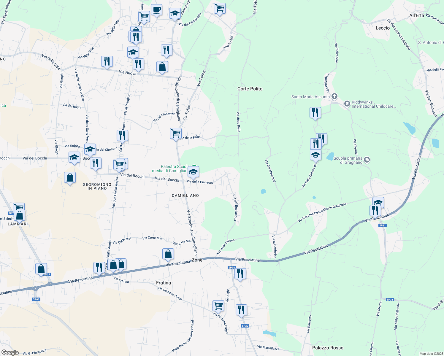 map of restaurants, bars, coffee shops, grocery stores, and more near 72 Via delle Pianacce in Capannori