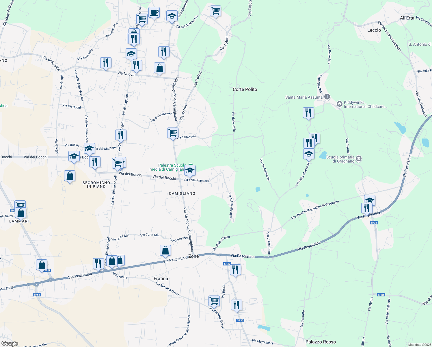 map of restaurants, bars, coffee shops, grocery stores, and more near 72 Via delle Pianacce in Capannori