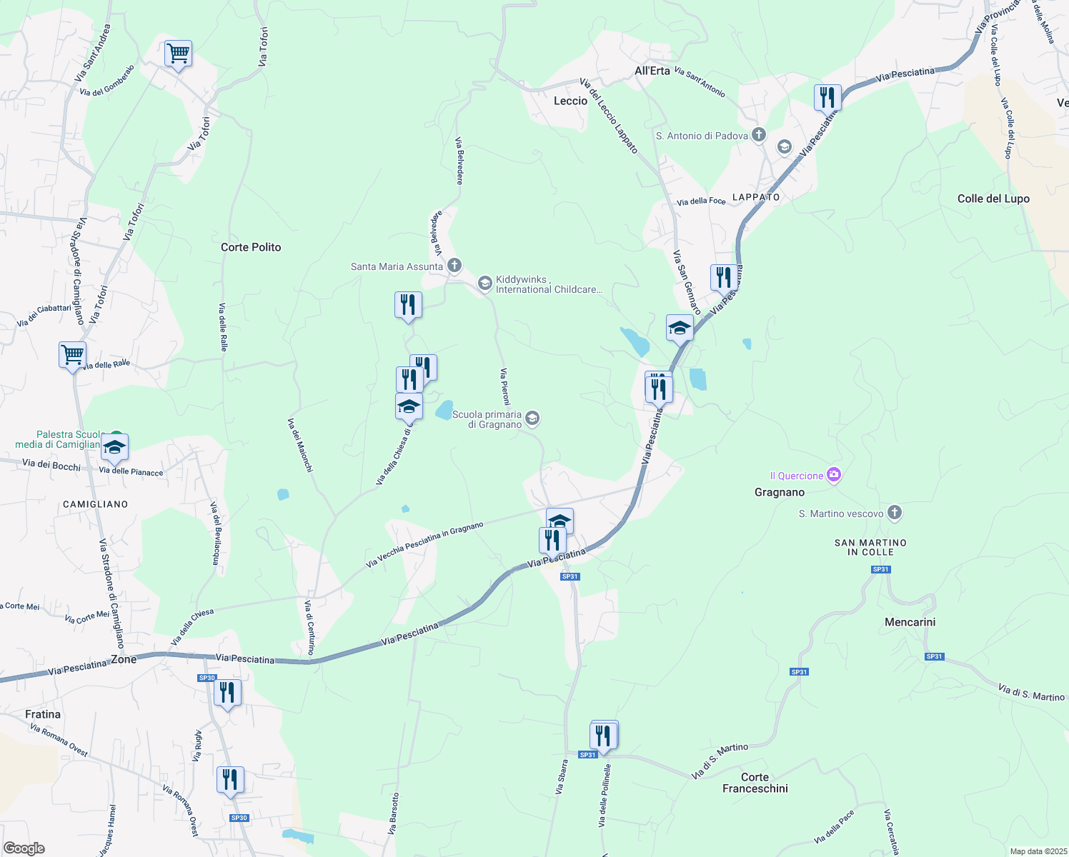 map of restaurants, bars, coffee shops, grocery stores, and more near 54 Via Pieroni in Capannori