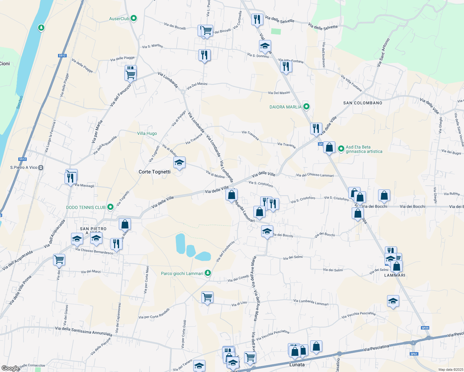 map of restaurants, bars, coffee shops, grocery stores, and more near in Capannori