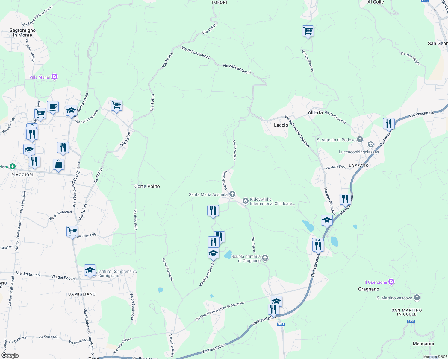 map of restaurants, bars, coffee shops, grocery stores, and more near 26 Via Belvedere in Capannori