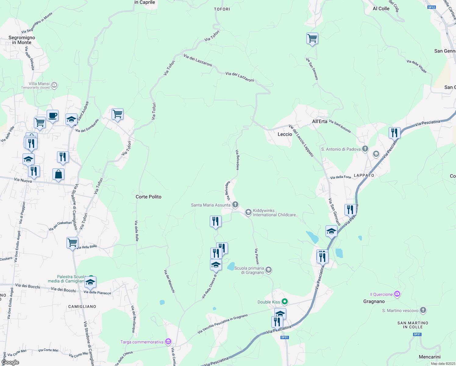 map of restaurants, bars, coffee shops, grocery stores, and more near 26 Via Belvedere in Capannori