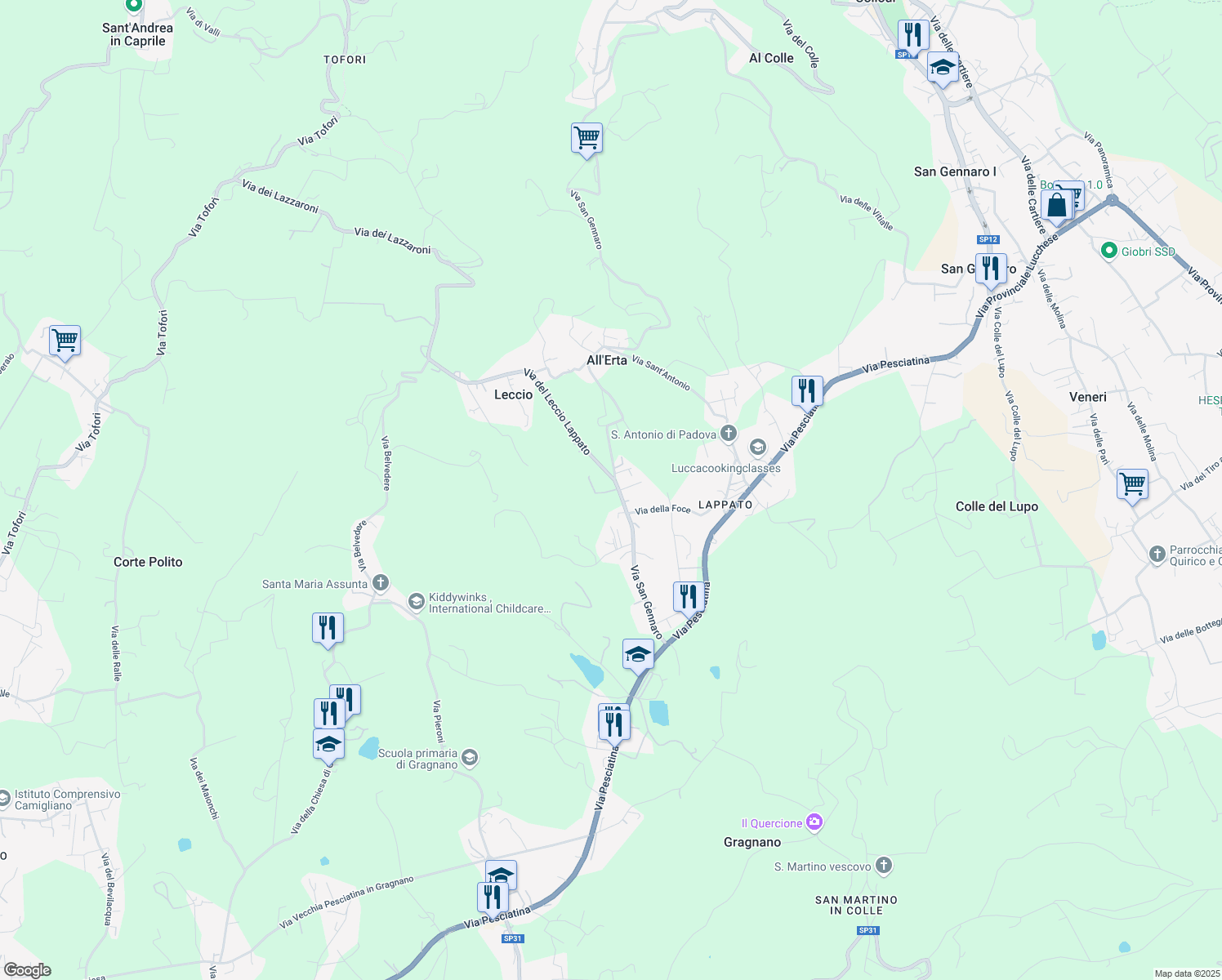 map of restaurants, bars, coffee shops, grocery stores, and more near 48A Via del Leccio Lappato in Capannori