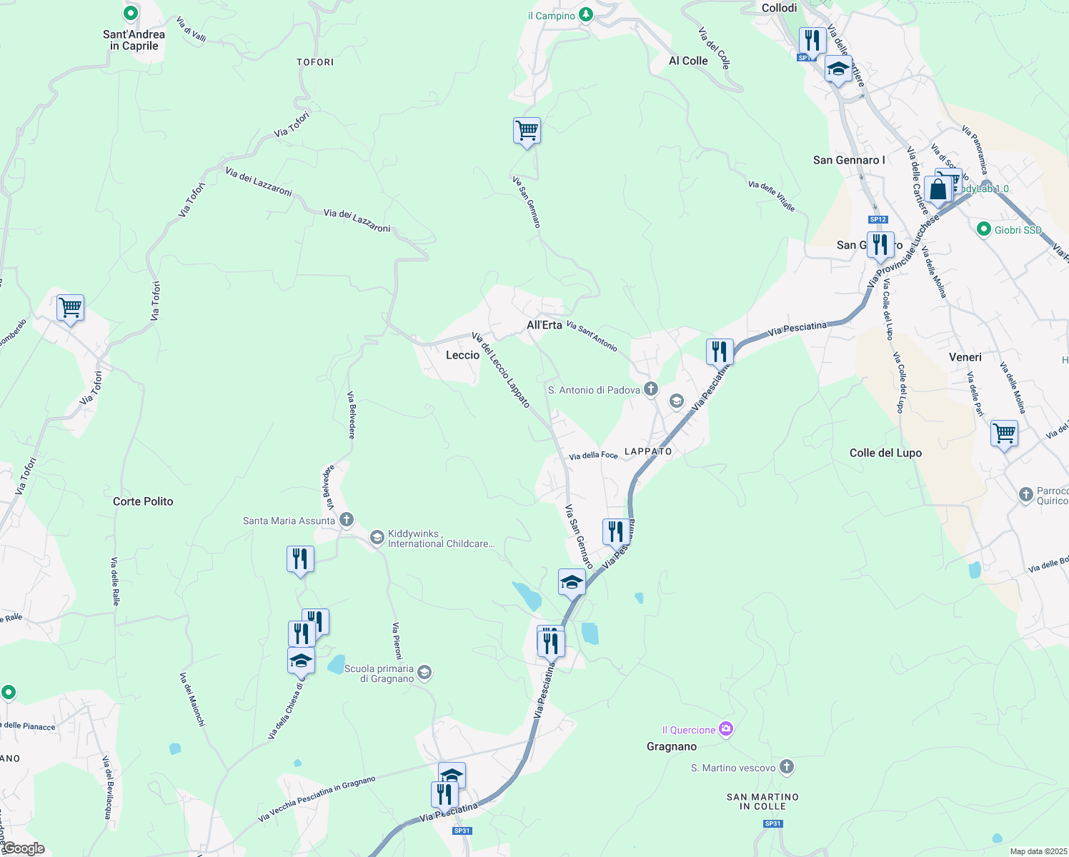 map of restaurants, bars, coffee shops, grocery stores, and more near 48A Via del Leccio Lappato in Capannori