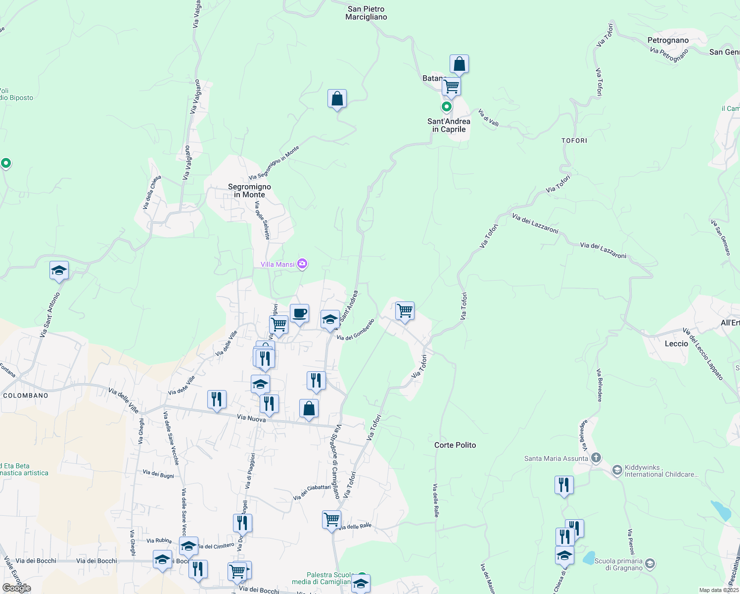 map of restaurants, bars, coffee shops, grocery stores, and more near 3 Via della Chiesa Camigliano in Province of Lucca