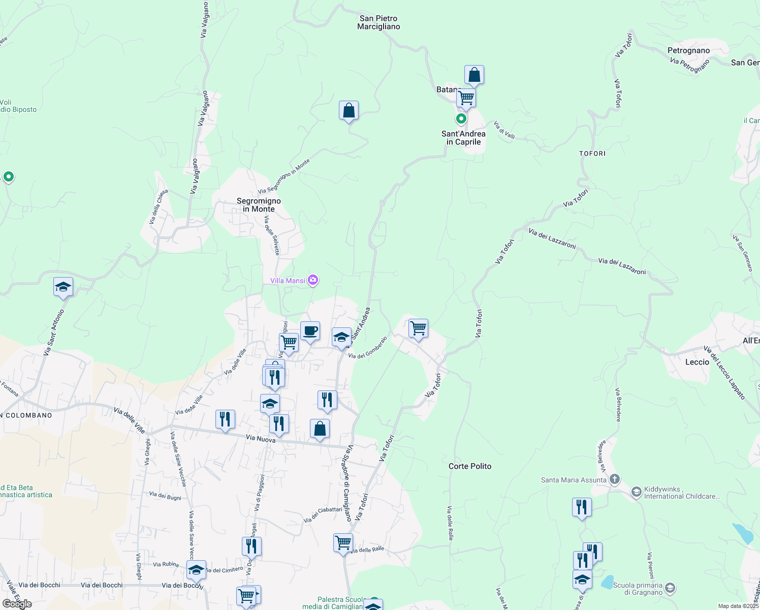 map of restaurants, bars, coffee shops, grocery stores, and more near Via della Chiesa Camigliano in Capannori