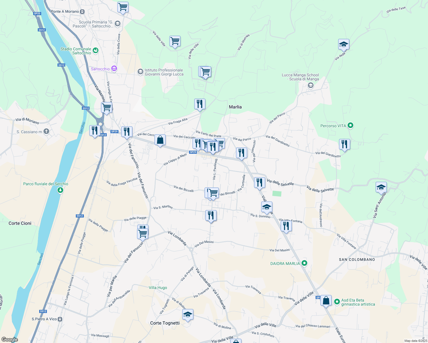 map of restaurants, bars, coffee shops, grocery stores, and more near 44 Via L. Paolinelli in Capannori