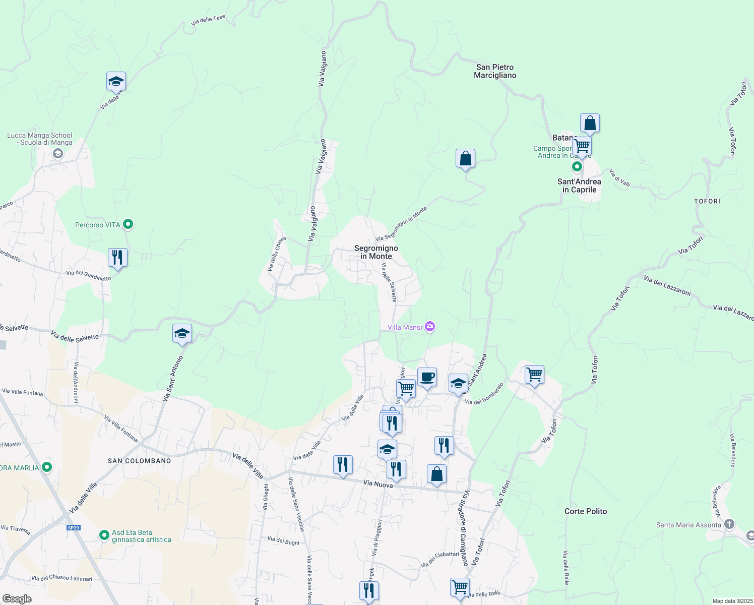 map of restaurants, bars, coffee shops, grocery stores, and more near 651 Via delle Ville in Capannori