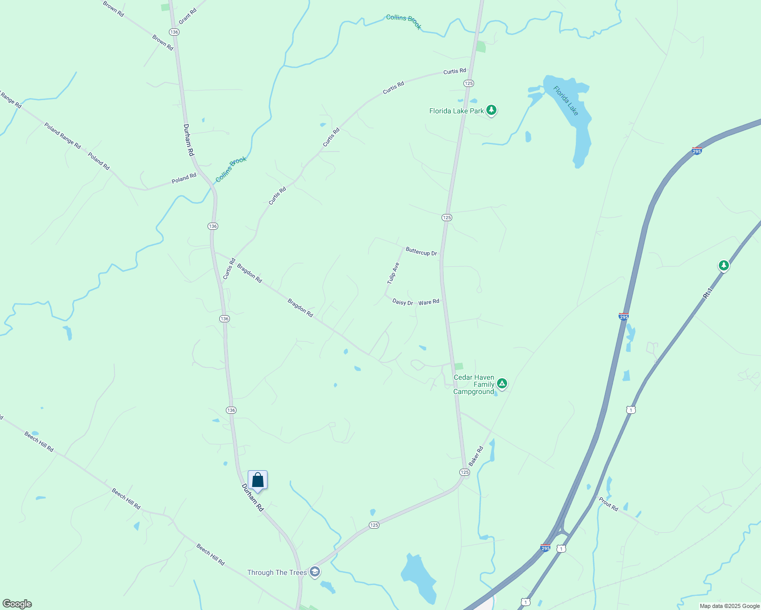 map of restaurants, bars, coffee shops, grocery stores, and more near 15 Tulip Avenue in Freeport