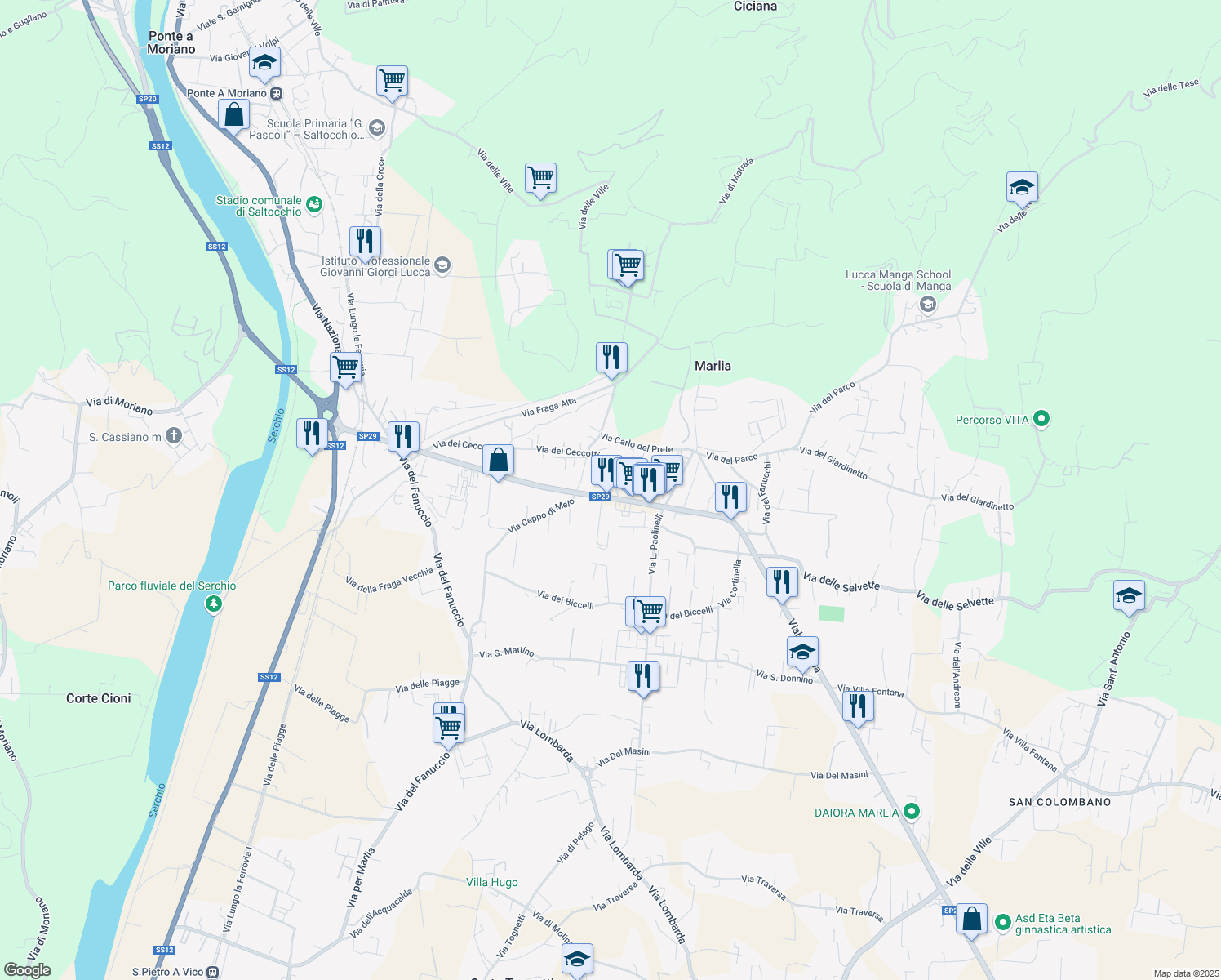 map of restaurants, bars, coffee shops, grocery stores, and more near 289 Viale Europa in Capannori