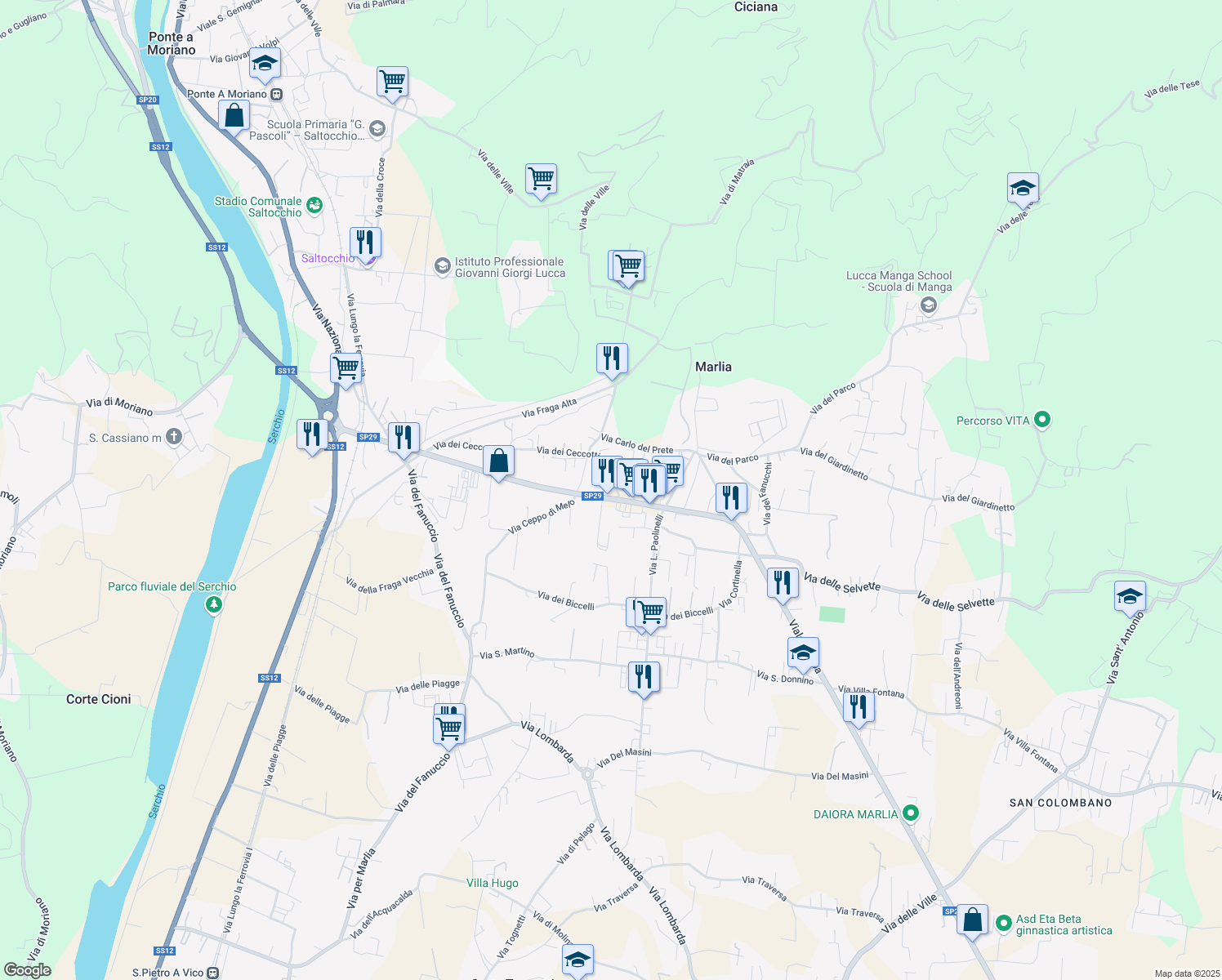 map of restaurants, bars, coffee shops, grocery stores, and more near 289 Viale Europa in Capannori