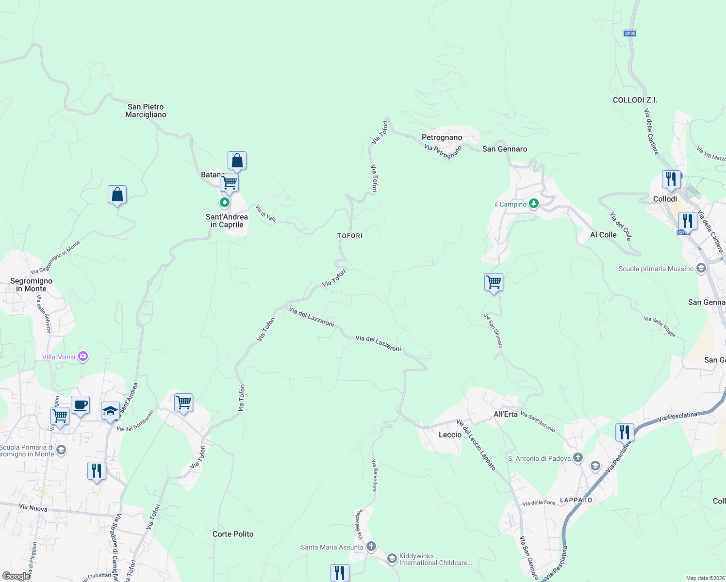 map of restaurants, bars, coffee shops, grocery stores, and more near 61 Via Tofori in Capannori