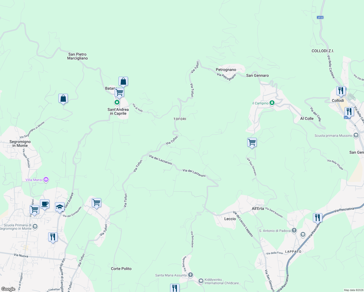 map of restaurants, bars, coffee shops, grocery stores, and more near 61 Via Tofori in Capannori
