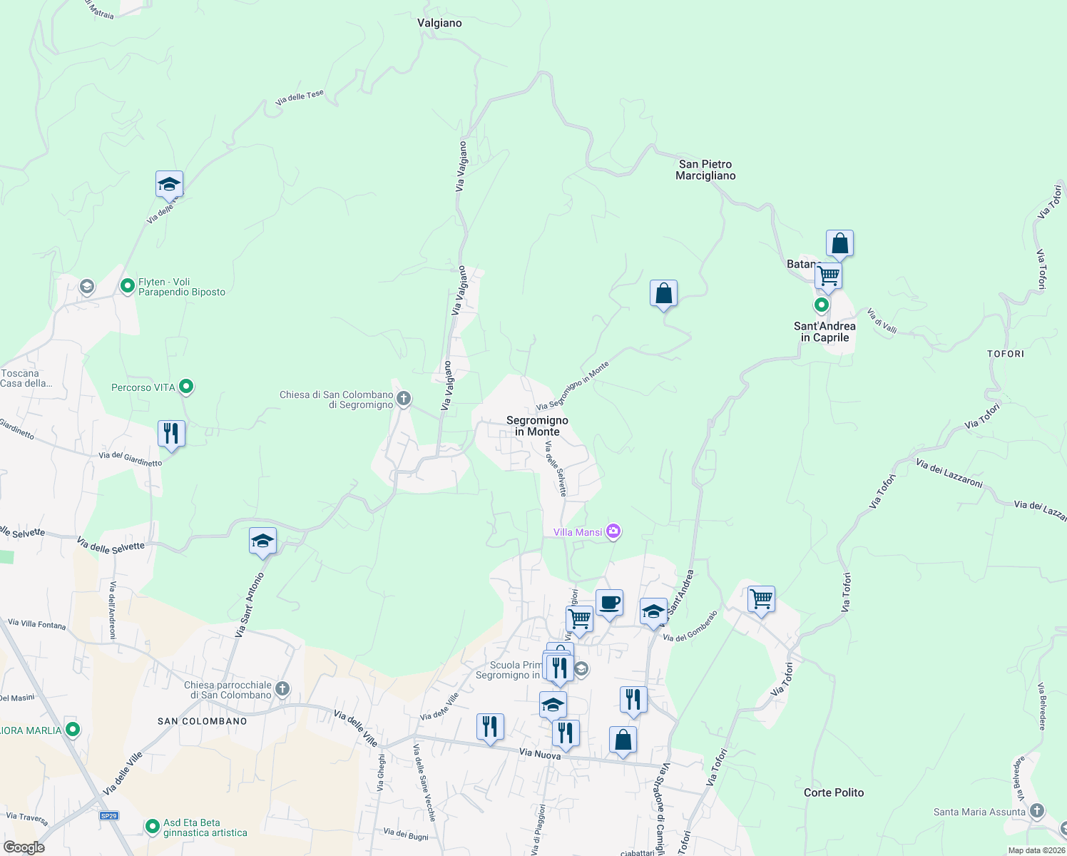 map of restaurants, bars, coffee shops, grocery stores, and more near 225 Via delle Selvette in Capannori