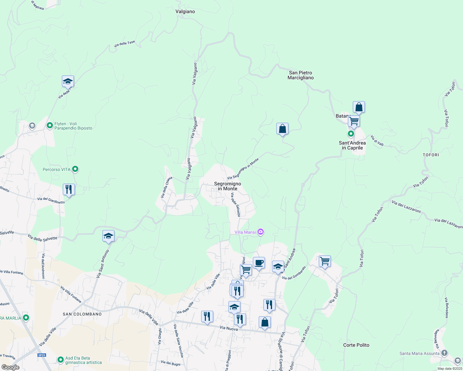 map of restaurants, bars, coffee shops, grocery stores, and more near 225 Via delle Selvette in Capannori