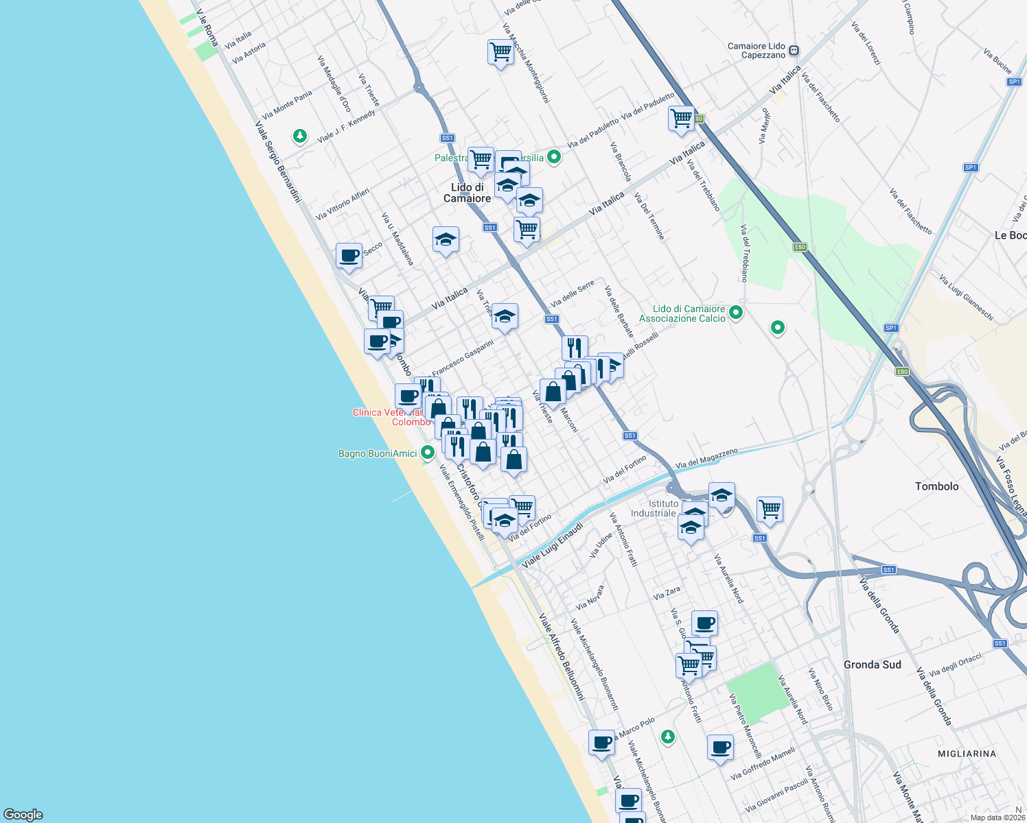 map of restaurants, bars, coffee shops, grocery stores, and more near 65 Via Don Minzoni in Camaiore
