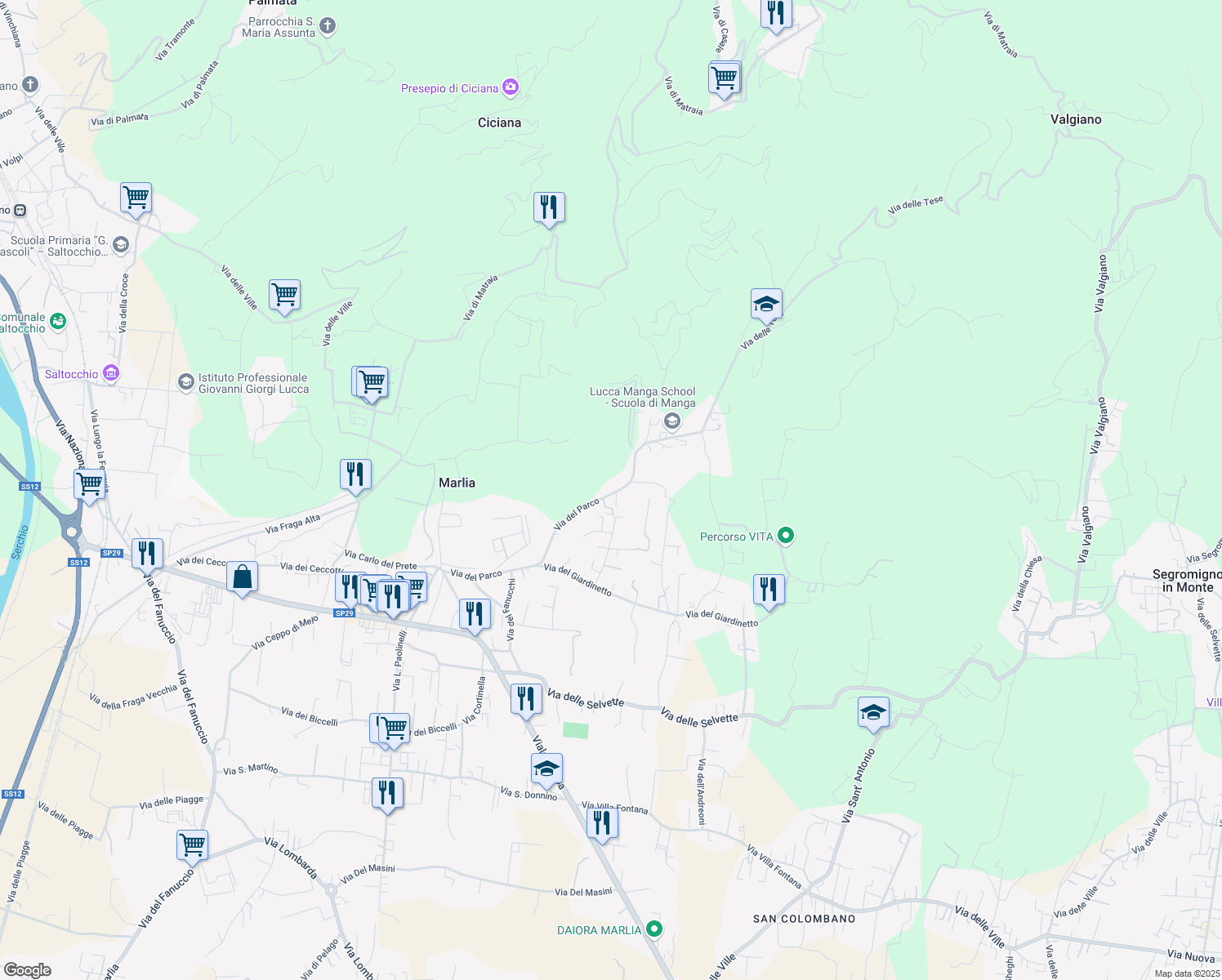 map of restaurants, bars, coffee shops, grocery stores, and more near 35 Via del Parco in Capannori